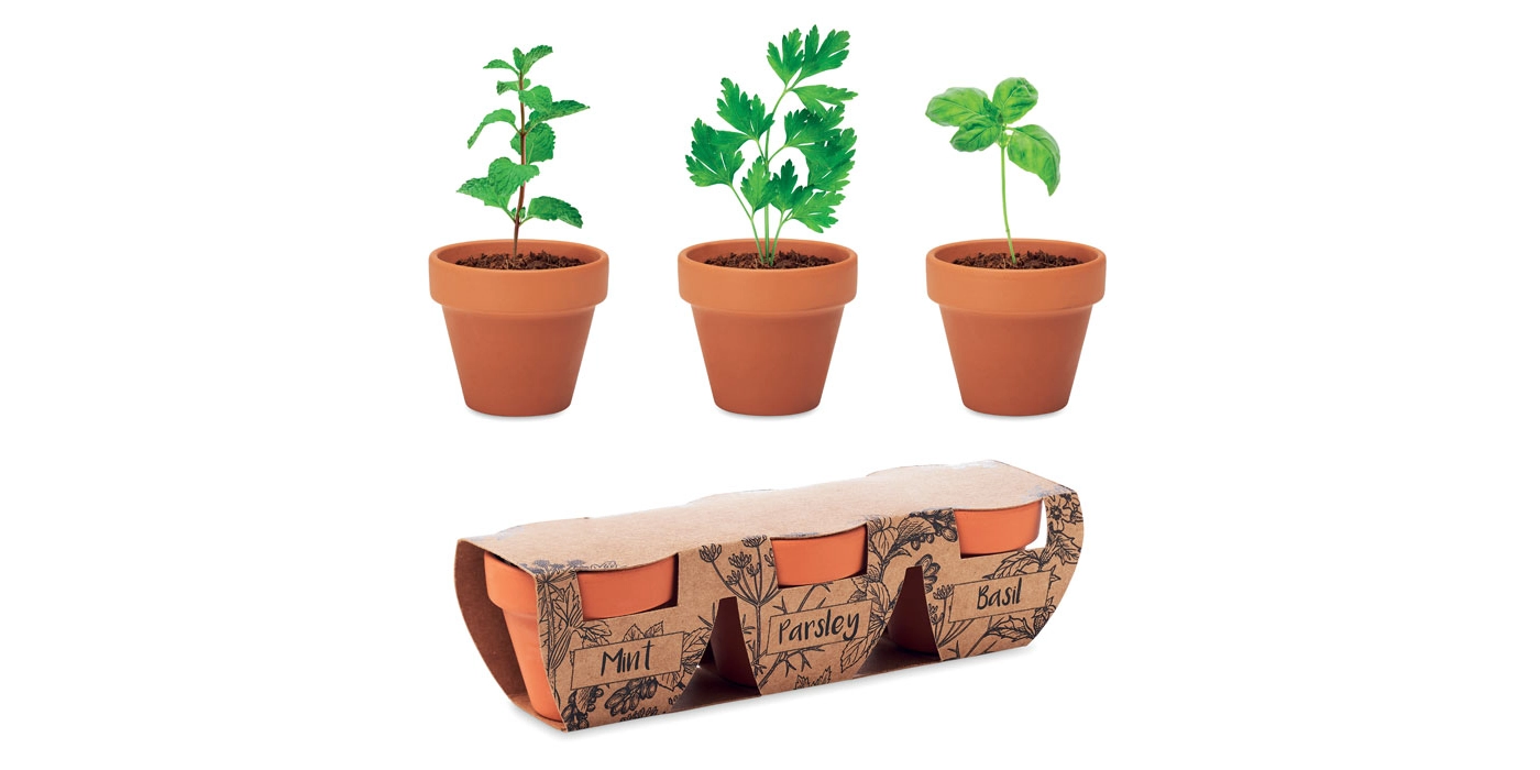 Set di vasetti in terracotta con semi di menta, prezzemolo e basilico, perfetti come bomboniere green per matrimonio