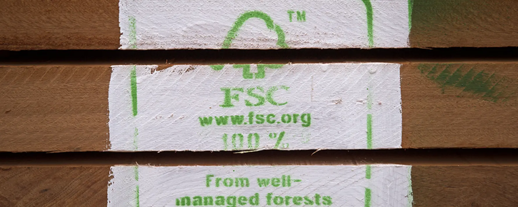 Etichetta FSC su legno certificato: simbolo di filiera sostenibile e tracciabile