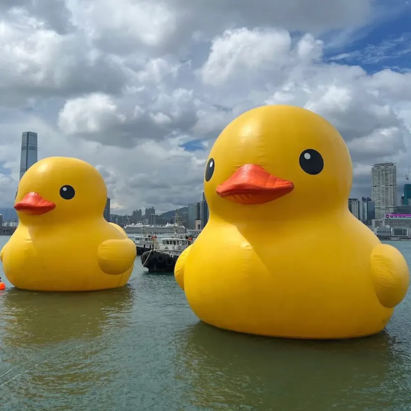 Le due paperelle giganti Double Ducks di Florentijn Hofman a Hong Kong nel 2023