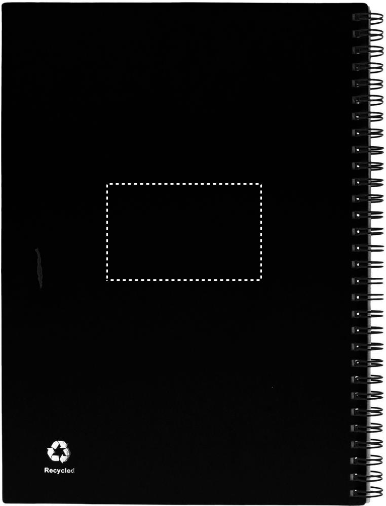 QUADERNO POSTERIORE