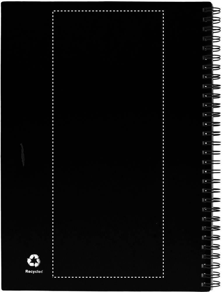 SCHERMO POSTERIORE