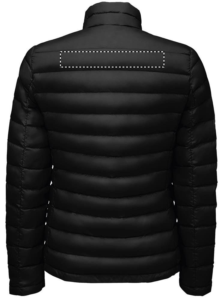 CINTURINO POSTERIORE