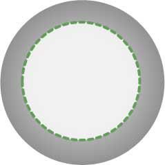 on the lid