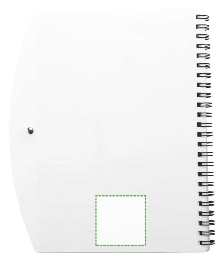 backside