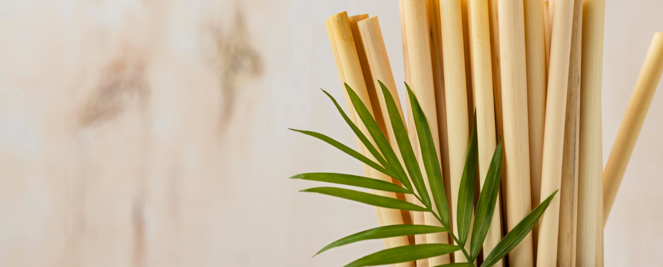 Il fascino del bamboo: sostenibilità, innovazione e stile nei gadget personalizzati