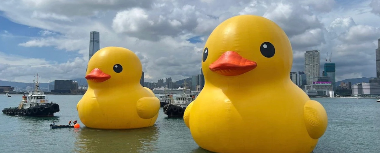 La storia e la diffusione delle paperelle di gomma: dall’infanzia alla cultura pop, dalla scienza all’arte