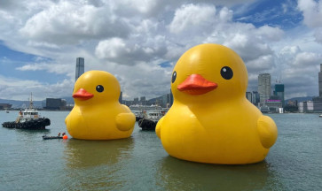 La storia e la diffusione delle paperelle di gomma: dall’infanzia alla cultura pop, dalla scienza all’arte