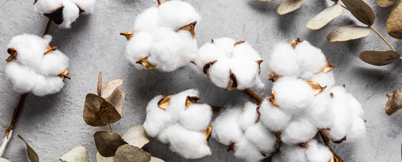 Tipi di Cotone: Guida Completa alla Scelta del Tessuto