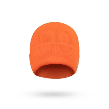 3M Thinsulate Beanie