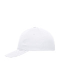 6 Panel Promo Cap
