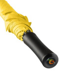AC regular umbrella