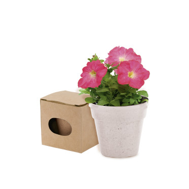 Vasi personalizzabili con semi di Petunia e terreno di coltura inclusi