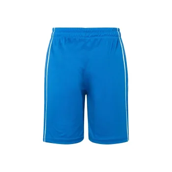 Basic Team Shorts Junior