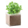 Basilico in semi personalizzabile con sacchetto compost 300 ml