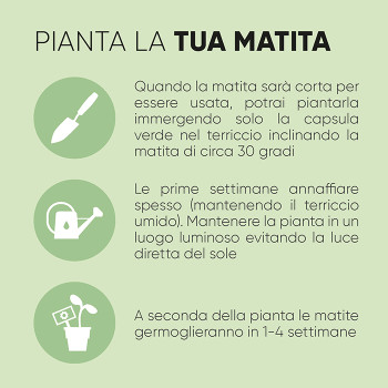 matite piantabili  - BASILICO