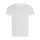 T-shirt personalizzabile Stedman in 100% cotone ring-spun