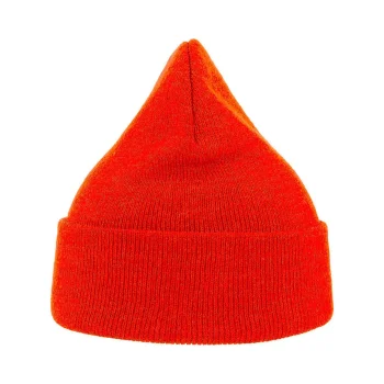 Eko Beanie