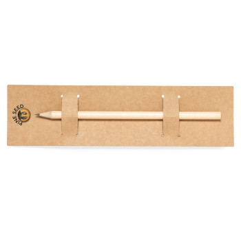 matite piantabili  - Etesio