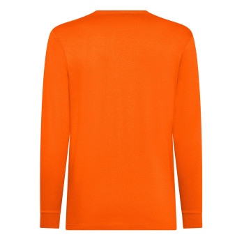 felpe uomo personalizzate - Evolution LS 
