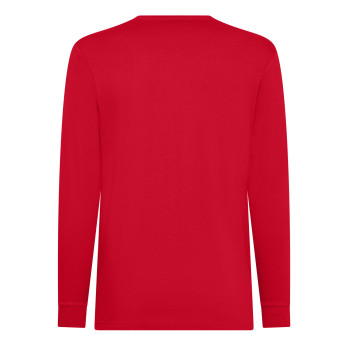 felpe uomo personalizzate - Evolution LS 