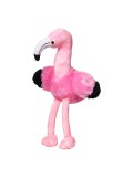 Flamingo Fernando 100%P