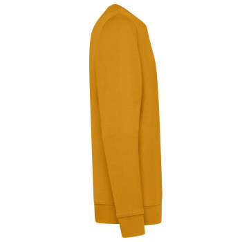 felpe uomo personalizzate - Ginger