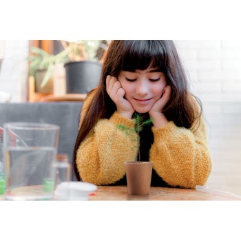 GROWTREE™ - Set in legno di pino