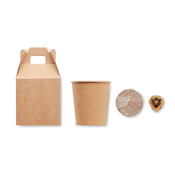 GROWTREE™ - Set in legno di pino