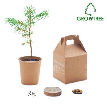 GROWTREE™ - Set in legno di pino