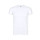 T-shirt personalizzabile Fruit Of The Loom 100% cotone
