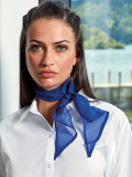 Ladies Chiffon Scarf
