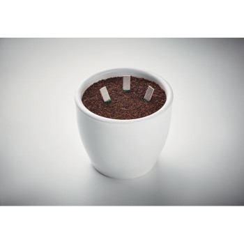 LEYTI - Bastoncini per semi di erbe