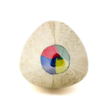 Matita Mae | Mina multicolore