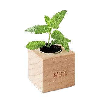 MENTA - Mini vaso in legno