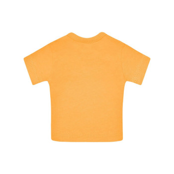 Mini-T
