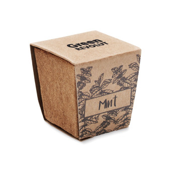 MINT KIT - Kit per la coltivazione di semi