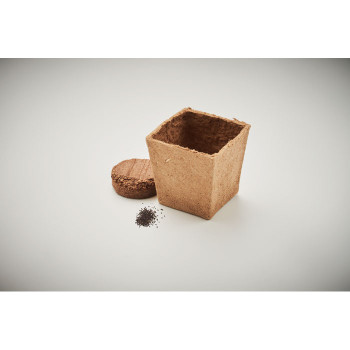 MINT KIT - Kit per la coltivazione di semi