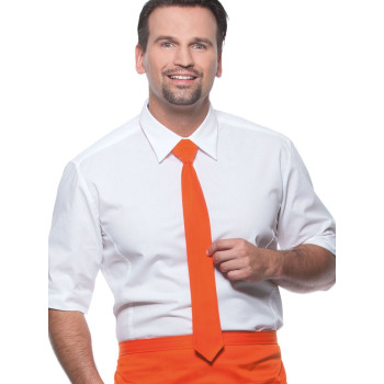 Cravatte personalizzate con logo - Necktie 