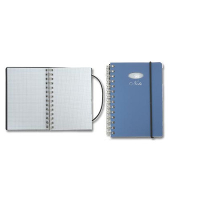 Notes- Renato Balestra