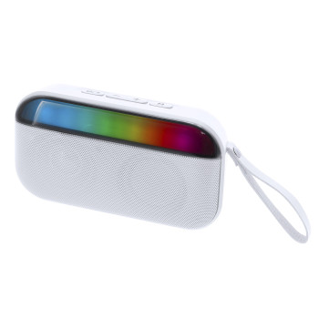 Speaker altoparlante personalizzato con logo - Nusbon RCS