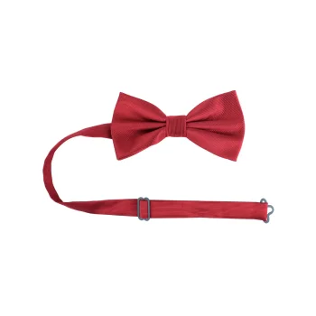 Papillon classico