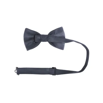 Papillon classico