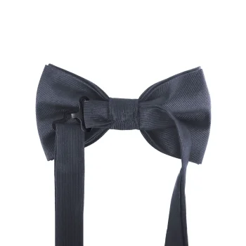 Papillon classico