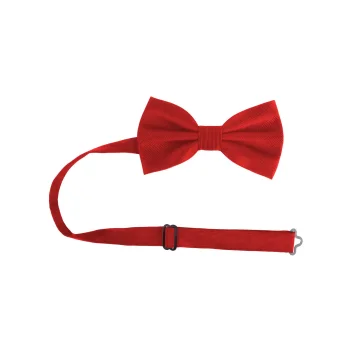 Papillon classico