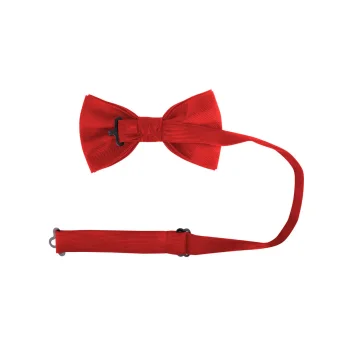 Papillon classico