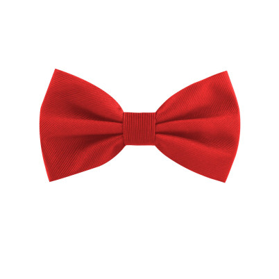Papillon classico