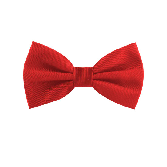 Papillon classico
