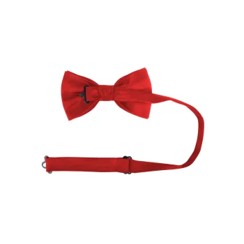 Papillon classico