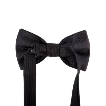 Papillon classico