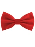 Papillon classico